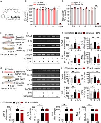 Sorafenib Modulates the LPS- and Aβ-Induced Neuroinflammatory Response in Cells, Wild-Type Mice, and 5xFAD Mice